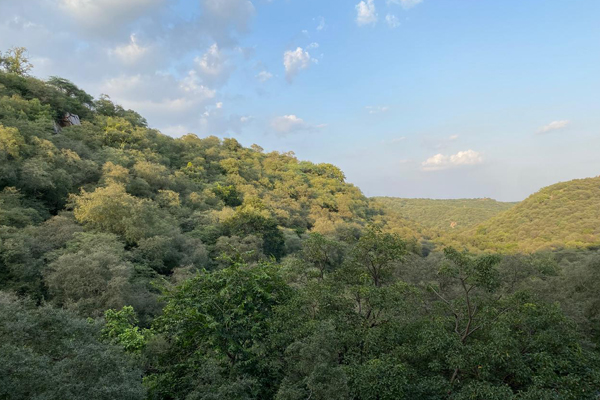 Aravali Trek