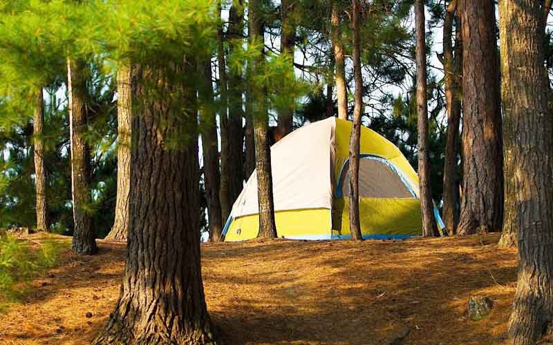 Camping in Pangot