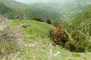 Landscape Triund Trek