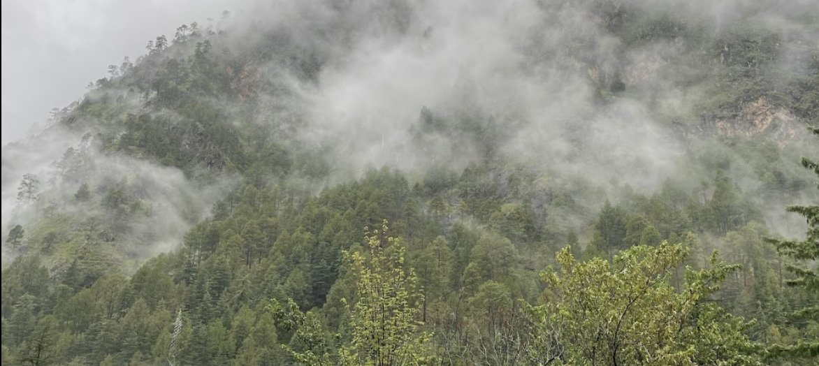 kasol-camp