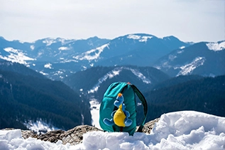 triund trek web