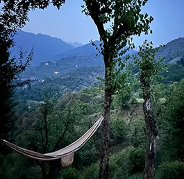 Cottages Jhulla