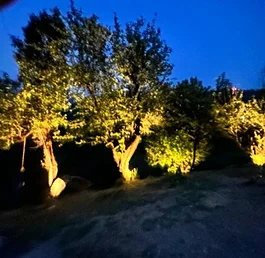 Cottages Night View