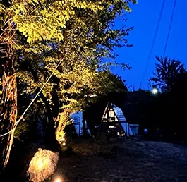 Night View