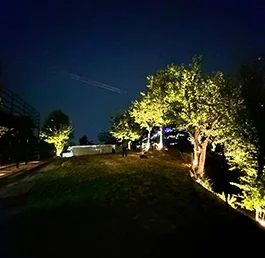 Night View