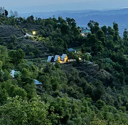 Cottages Top View